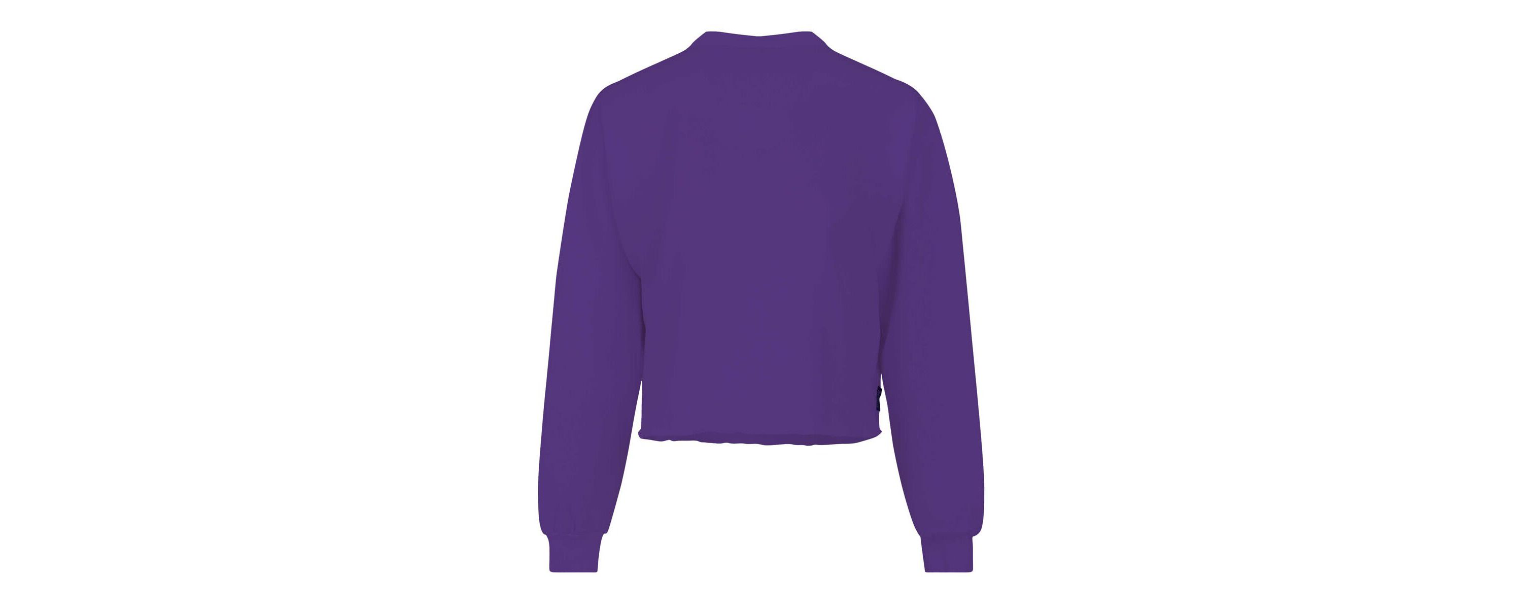NCAA Clemson Tigers Slouchy Cropped Long Sleeve T-Shirt