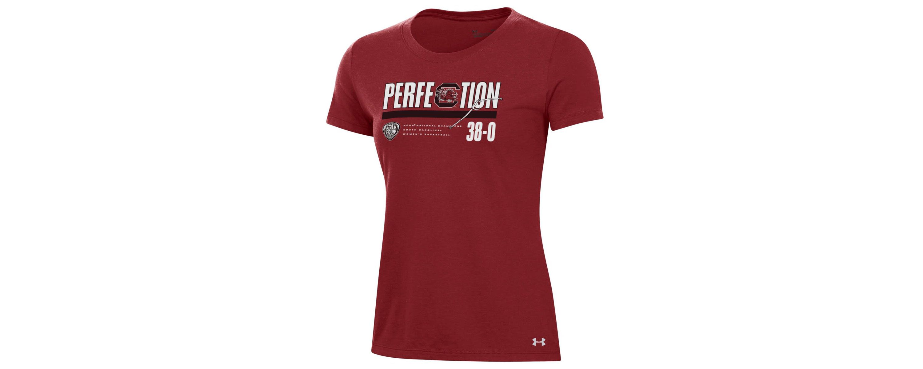 NCAA Under Armour South Carolina Gamecocks 2024 NCAA Basketball National s Schedule T-Shirt