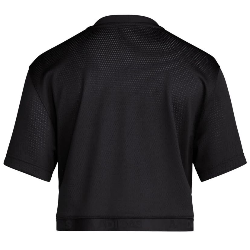 NCAA Louisville Cardinals 1980s Throwback Cropped T-Shirt