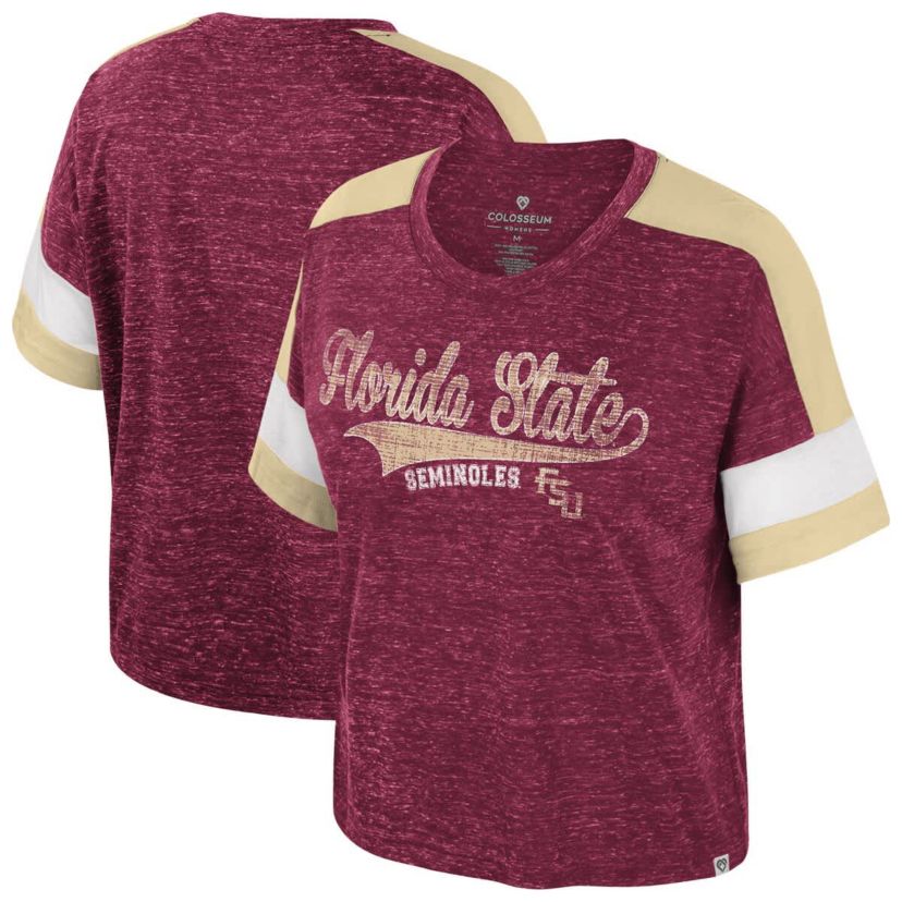 NCAA Florida State Seminoles Color Block Scoop Neck T-Shirt