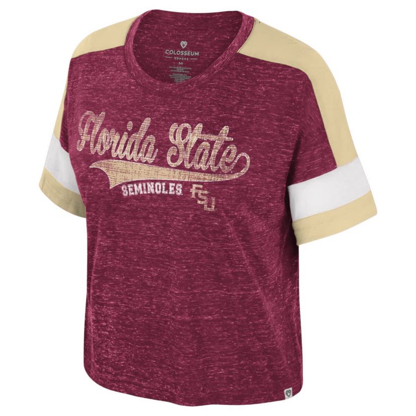 NCAA Florida State Seminoles Color Block Scoop Neck T-Shirt