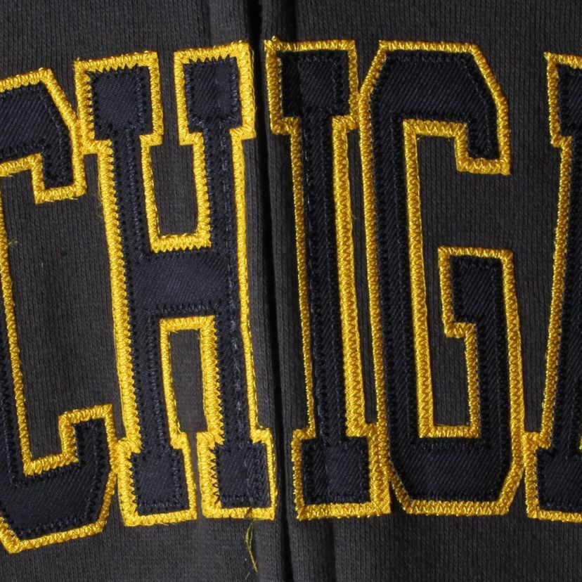 NCAA Michigan Wolverines Arched Name Full-Zip Hoodie