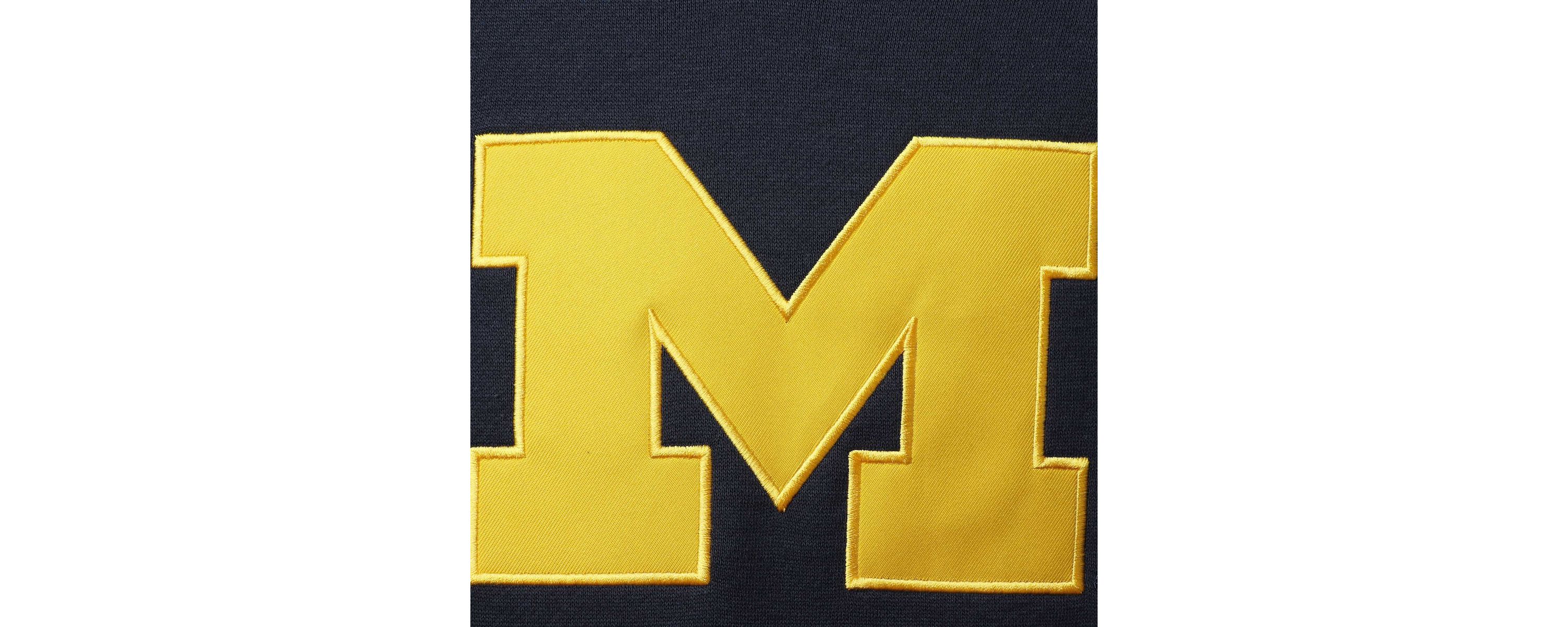 NCAA Michigan Wolverines Big Logo Team Pullover Hoodie