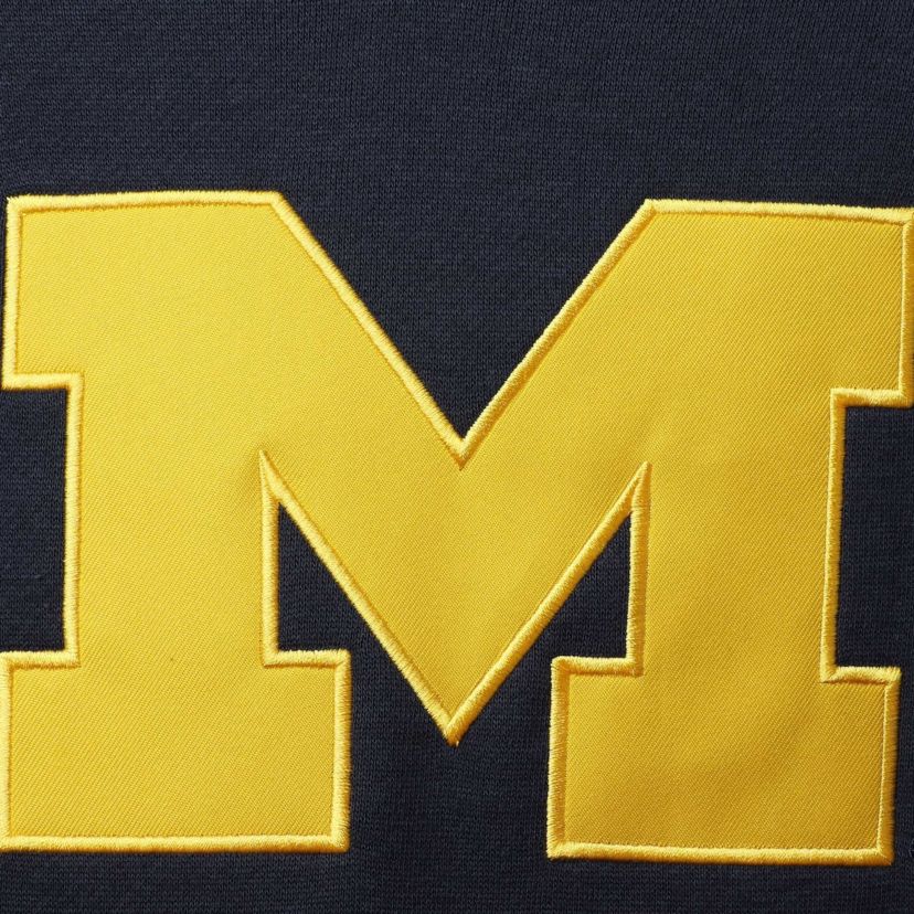 NCAA Michigan Wolverines Big Logo Team Pullover Hoodie