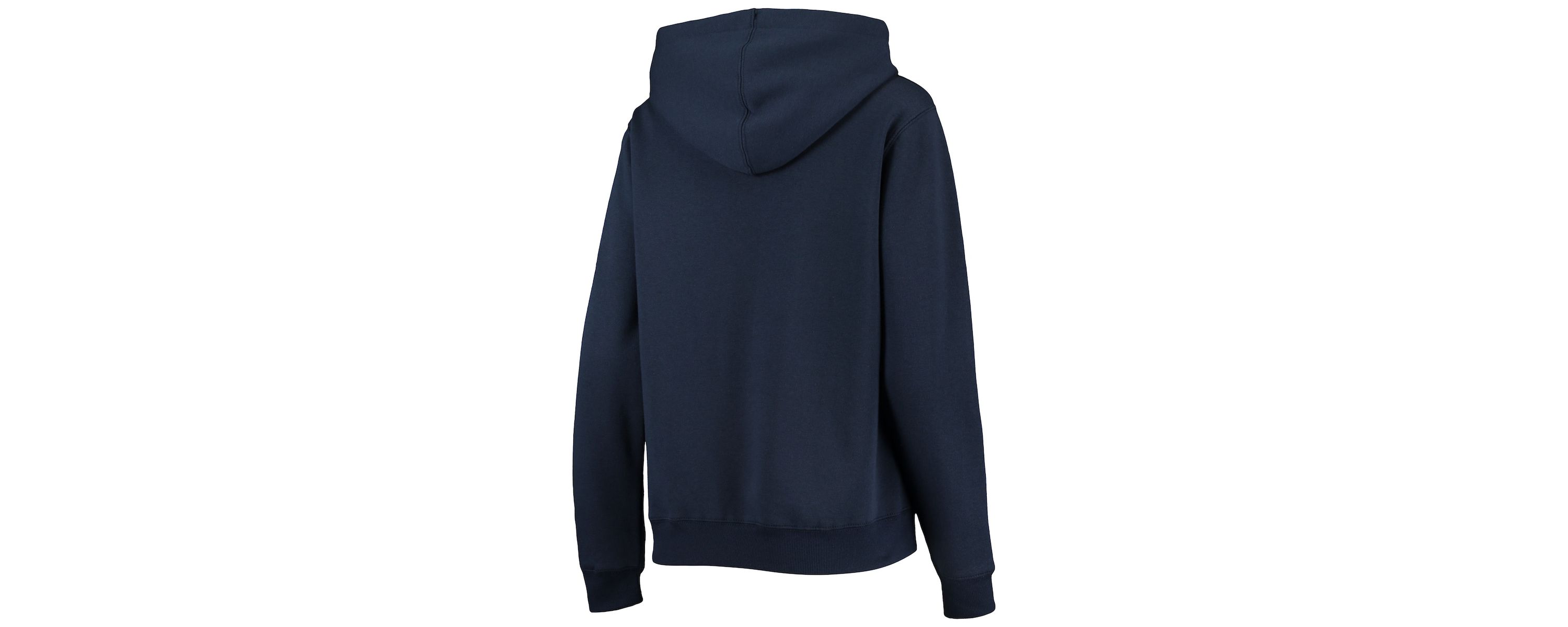 NCAA Michigan Wolverines Big Logo Team Pullover Hoodie