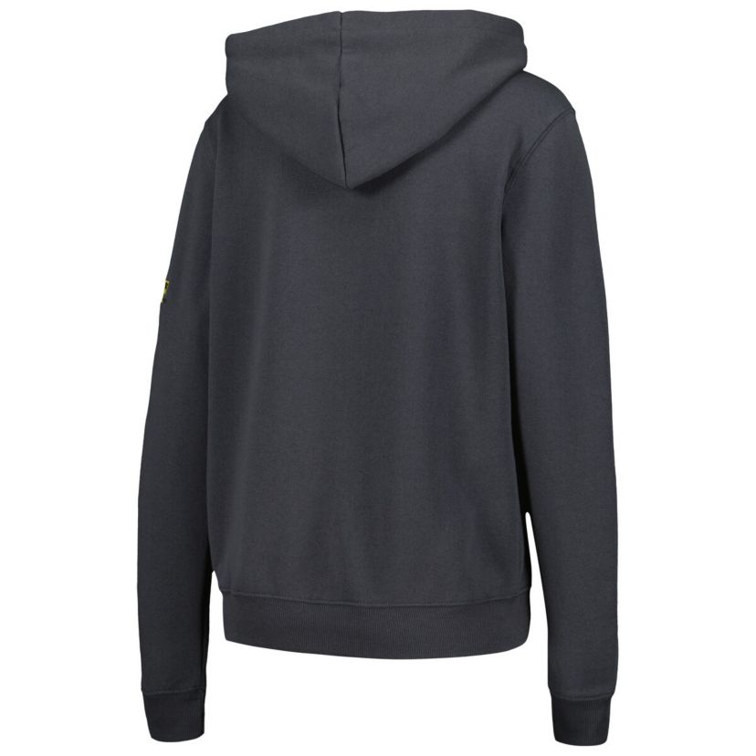 NCAA Michigan Wolverines Team Big Logo Pullover Hoodie