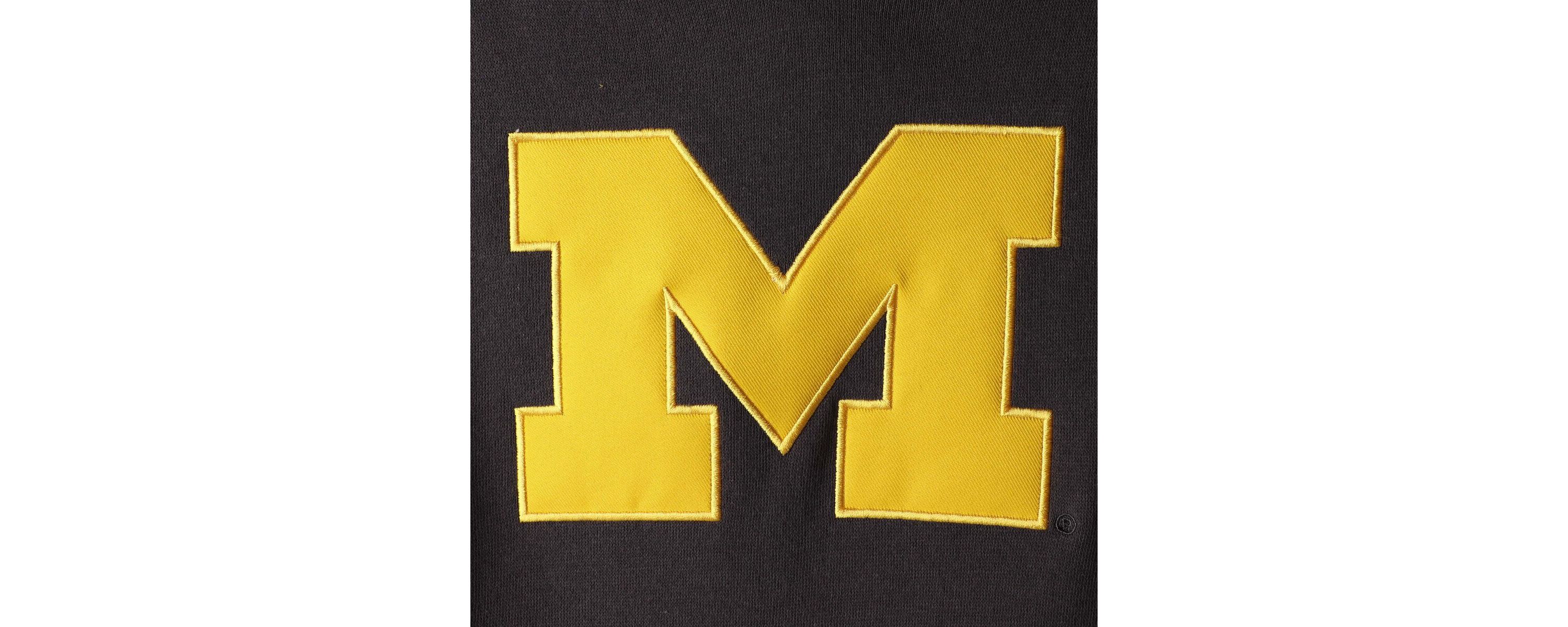 NCAA Michigan Wolverines Team Big Logo Pullover Hoodie