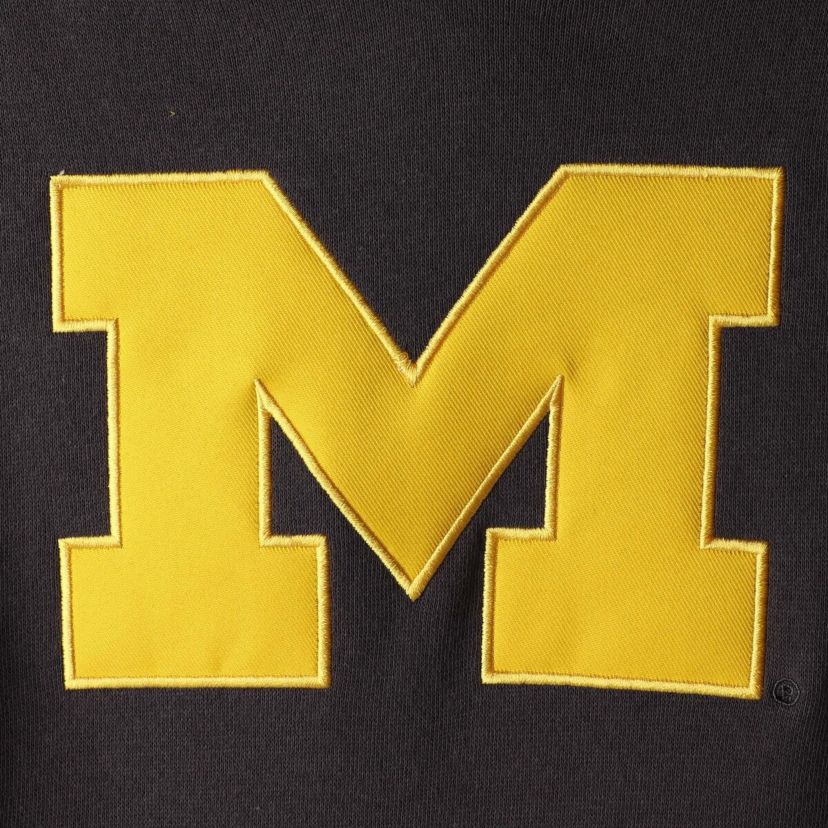 NCAA Michigan Wolverines Team Big Logo Pullover Hoodie