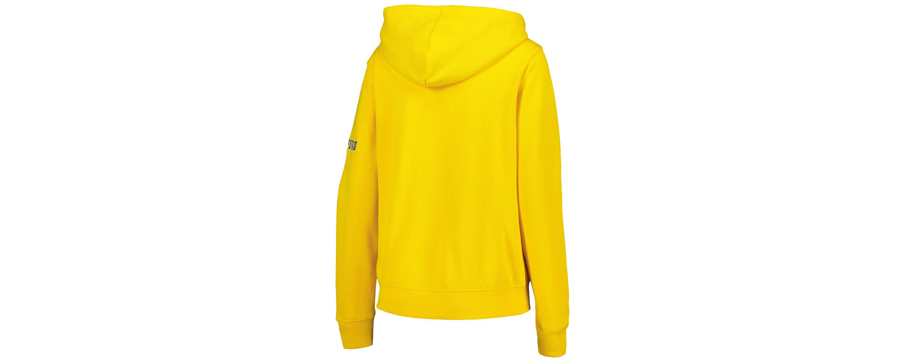 NCAA Michigan Wolverines Team Big Logo Pullover Hoodie