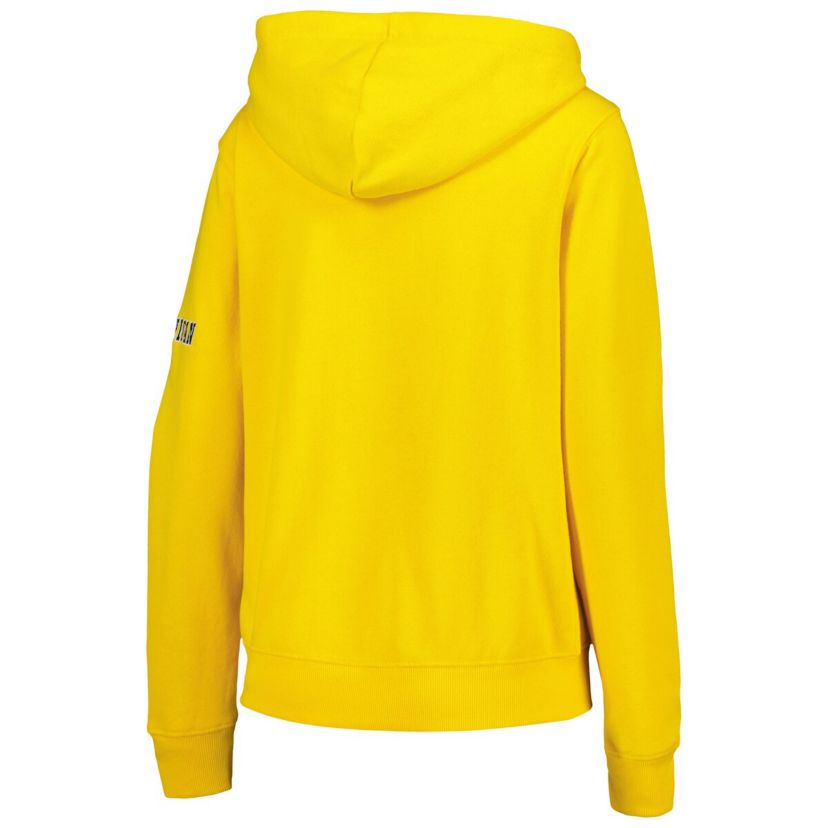 NCAA Michigan Wolverines Team Big Logo Pullover Hoodie