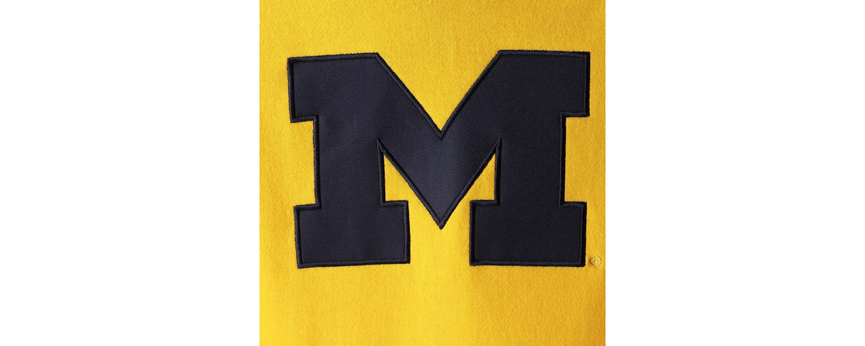 NCAA Michigan Wolverines Team Big Logo Pullover Hoodie