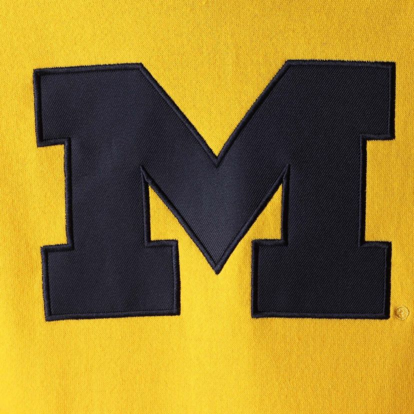 NCAA Michigan Wolverines Team Big Logo Pullover Hoodie