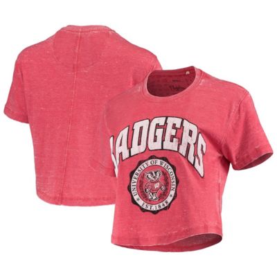 NCAA Wisconsin Badgers Edith Vintage Burnout Crop T-Shirt