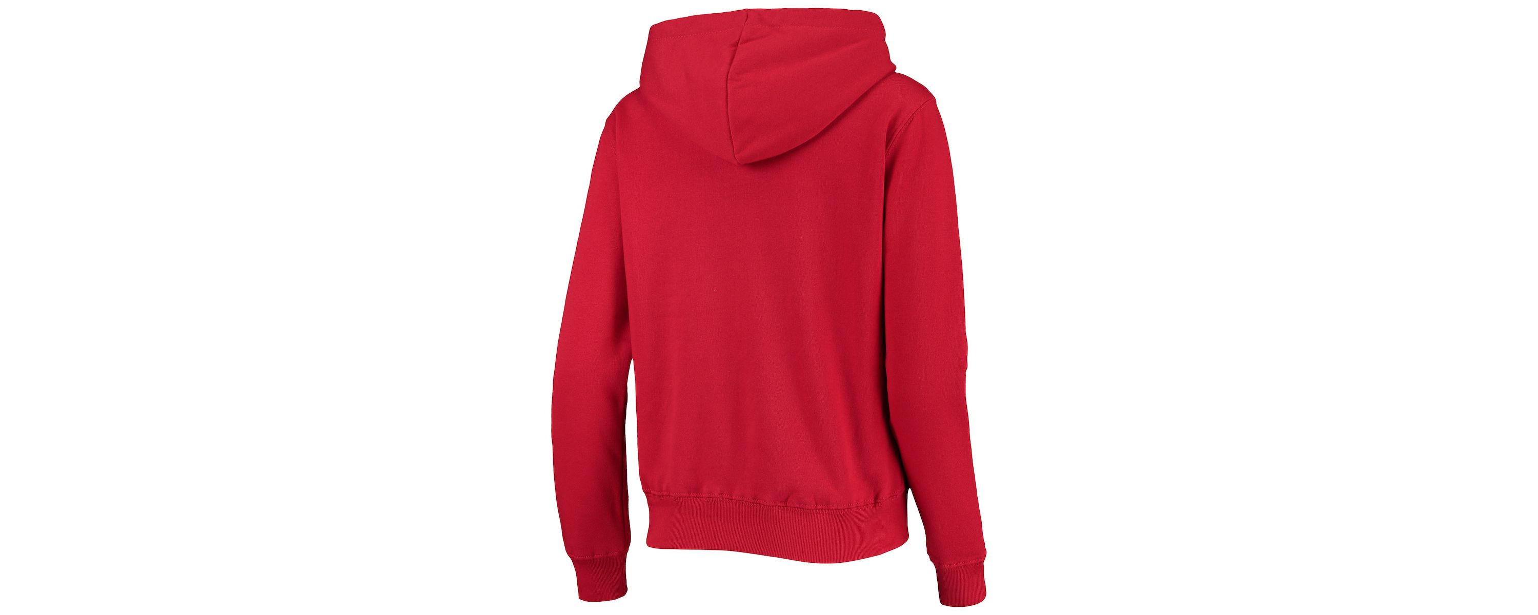 NCAA Ohio State Buckeyes Loud and Proud Pullover Hoodie