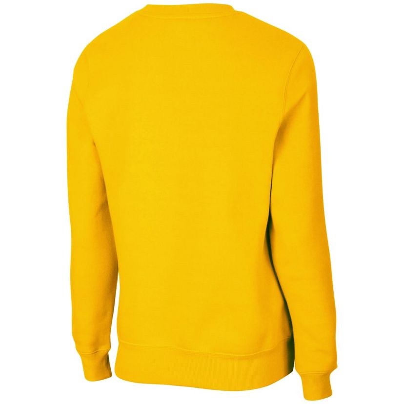 NCAA Michigan Wolverines Campanile Pullover Sweatshirt