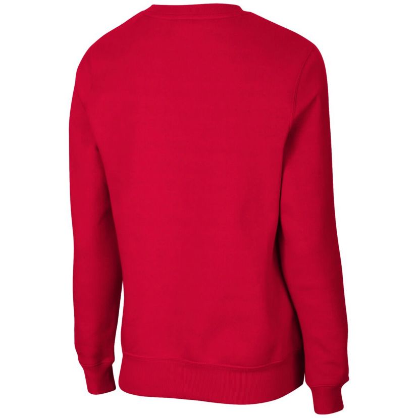 NCAA Ohio State Buckeyes Campanile Pullover Sweatshirt