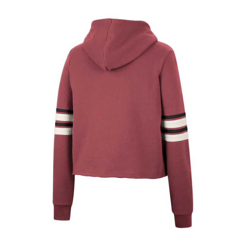 NCAA Arkansas Razorbacks Retro Cropped Pullover Hoodie
