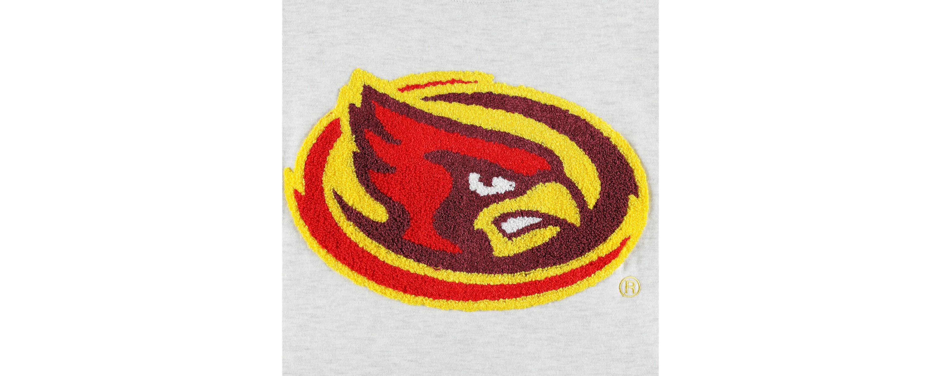 NCAA Iowa State Cyclones Chenille Patch Fleece Pullover Sweatshirt