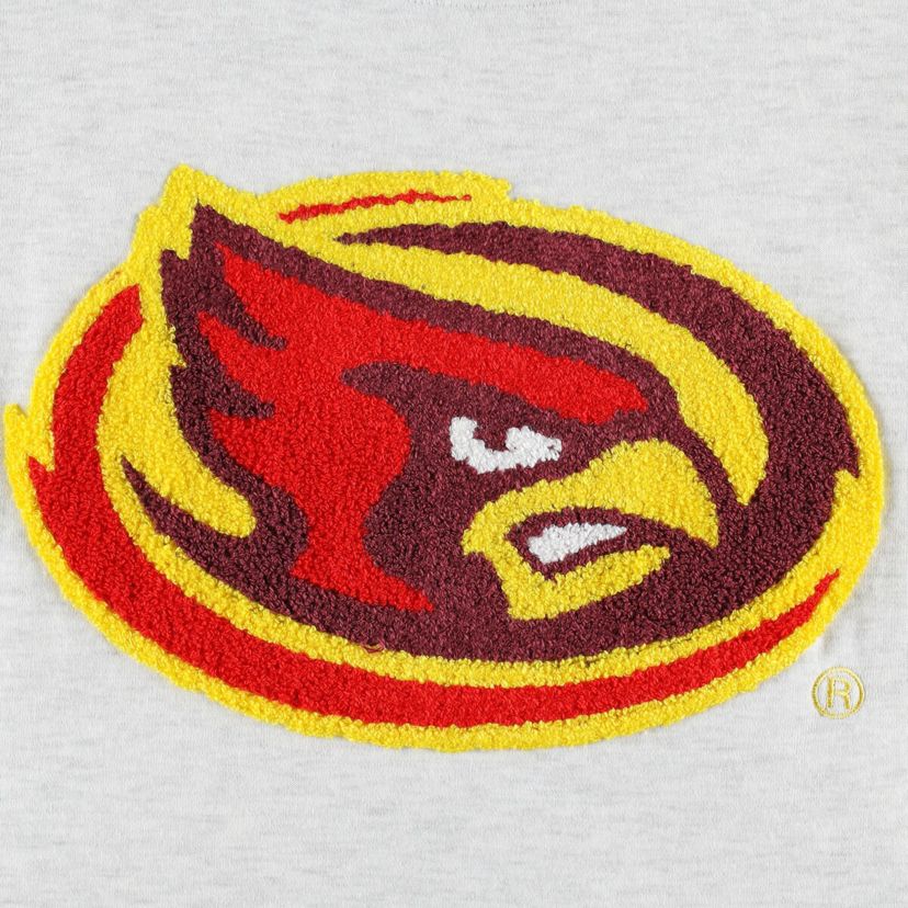 NCAA Iowa State Cyclones Chenille Patch Fleece Pullover Sweatshirt