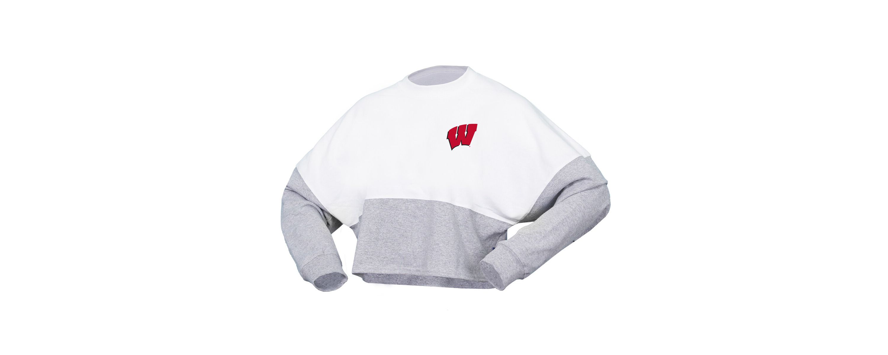 NCAA Wisconsin Badgers Block Cropped Long Sleeve Jersey T-Shirt