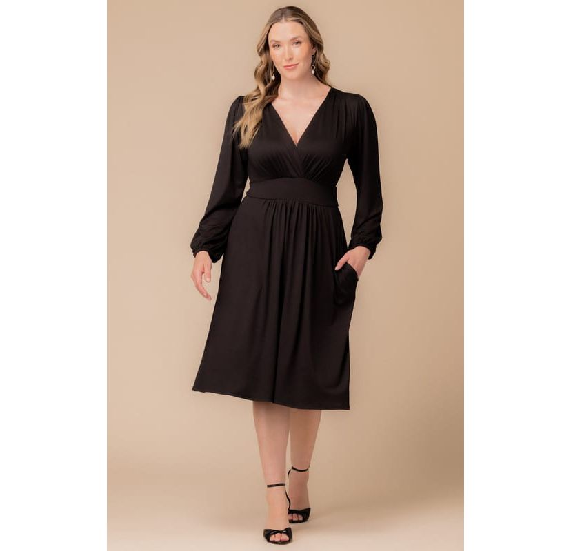 Womens Plus Size Diana Long Sleeve V-Neck Midi Dress