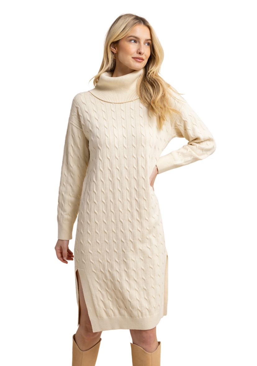 Womens Brea Turtleneck Sweater Dress