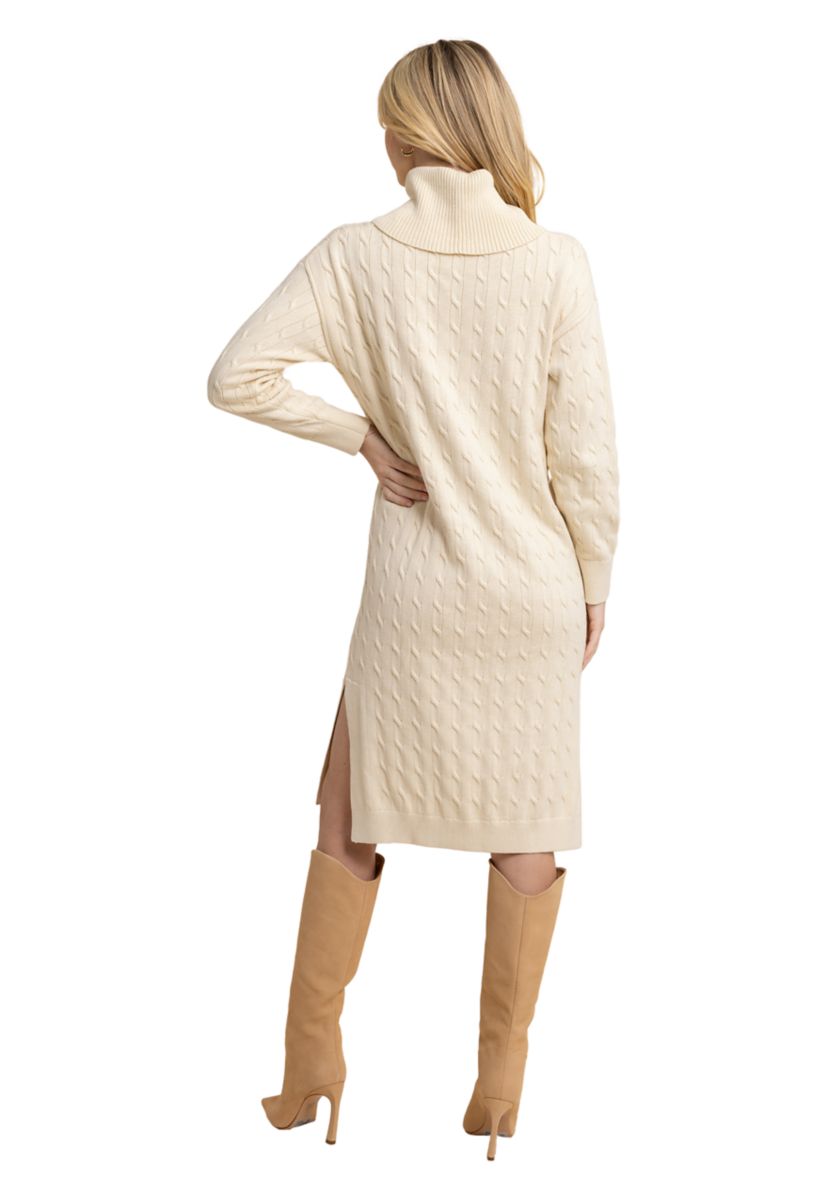Womens Brea Turtleneck Sweater Dress