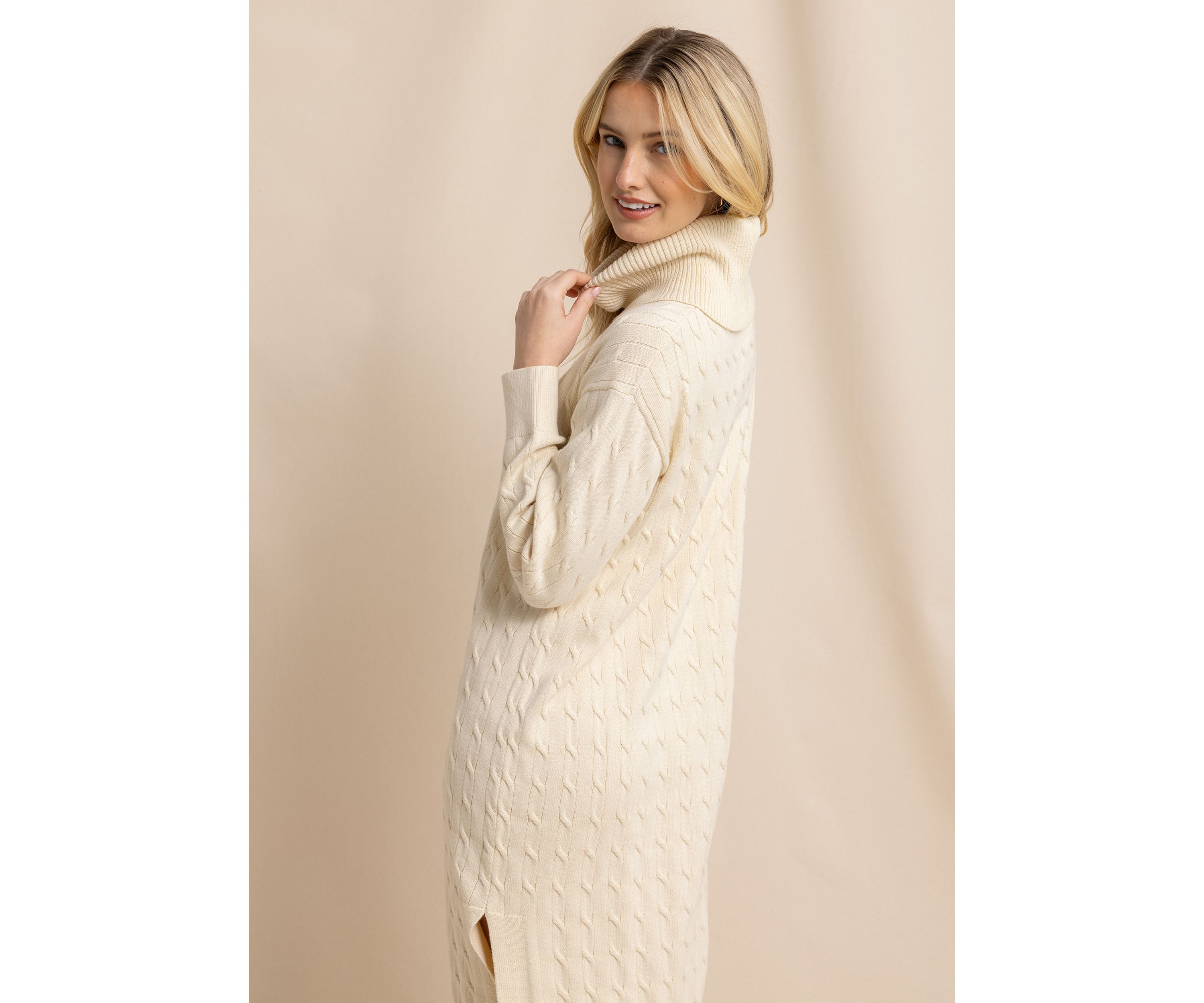 Womens Brea Turtleneck Sweater Dress