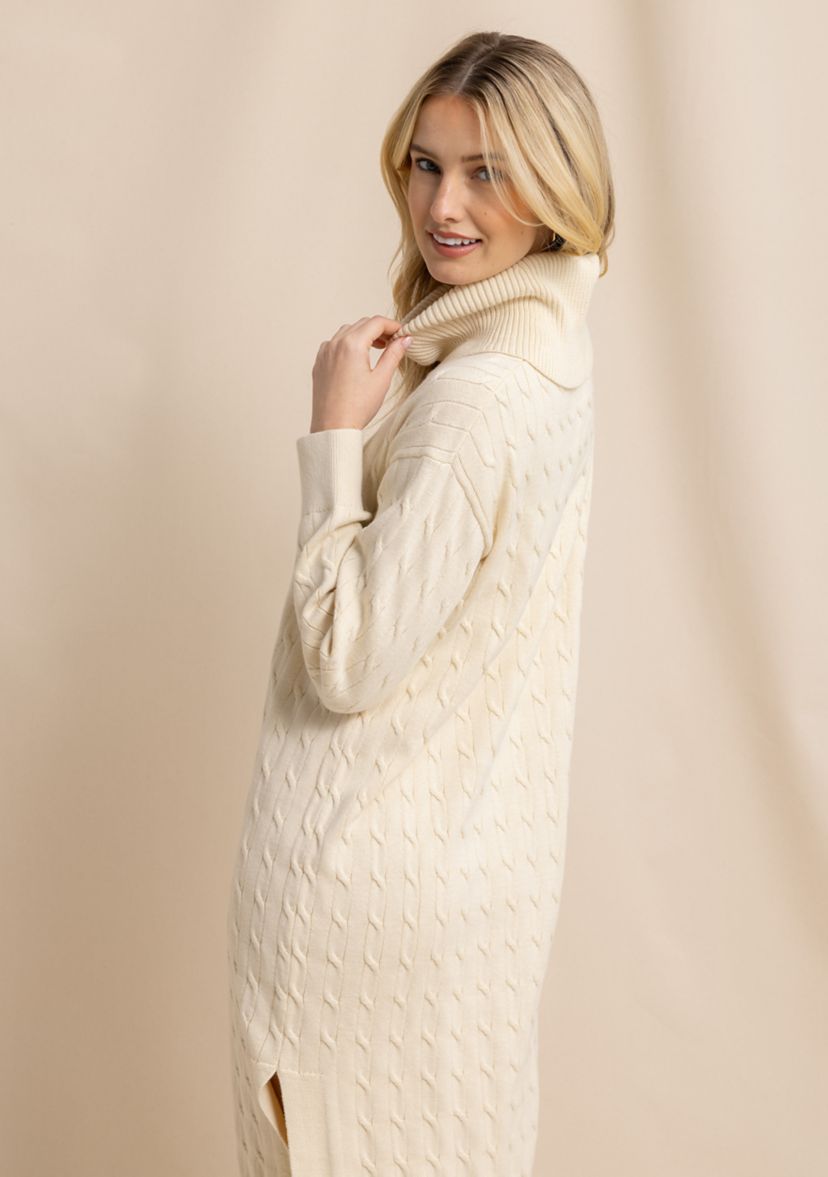Womens Brea Turtleneck Sweater Dress