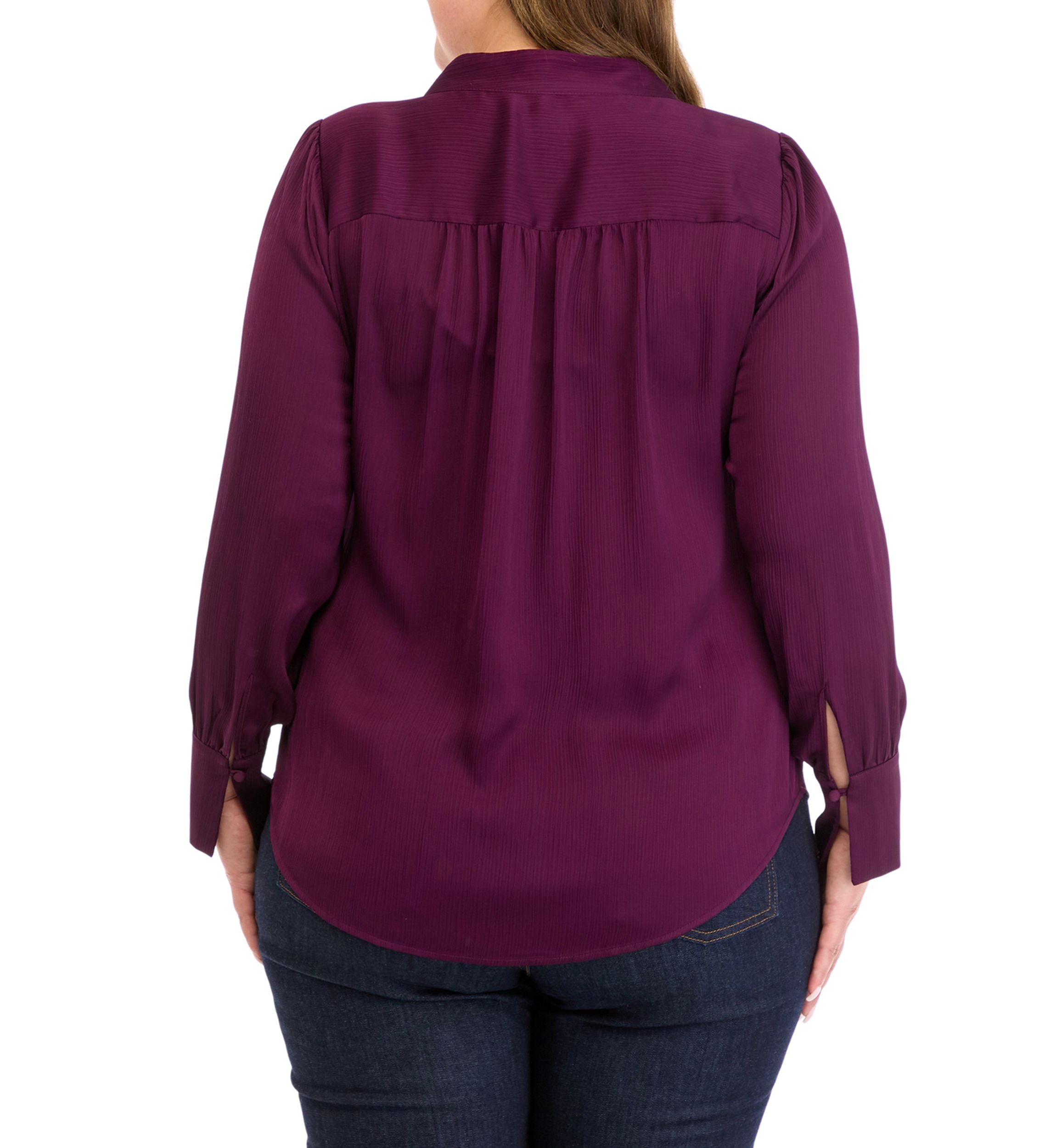 Plus Size Long Sleeve V-Neck Pleat Front Blouse