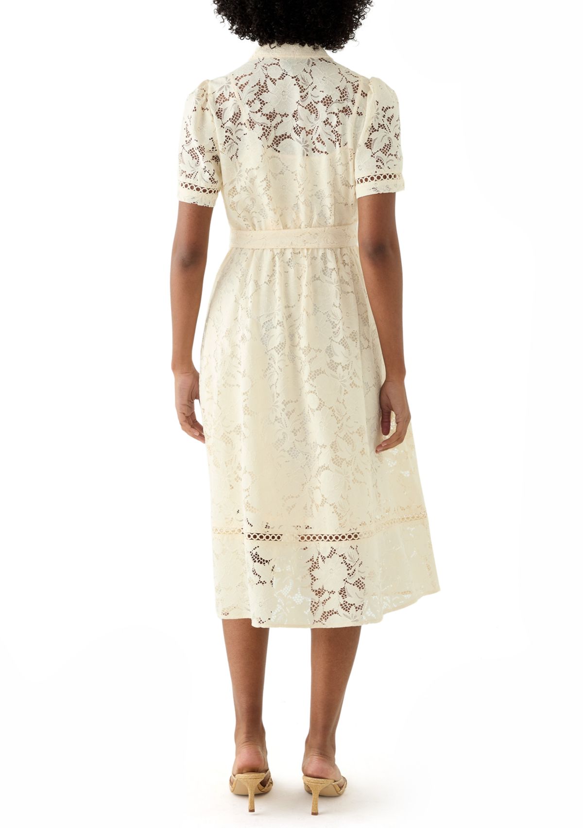 Petite Short Sleeve Lace Dress