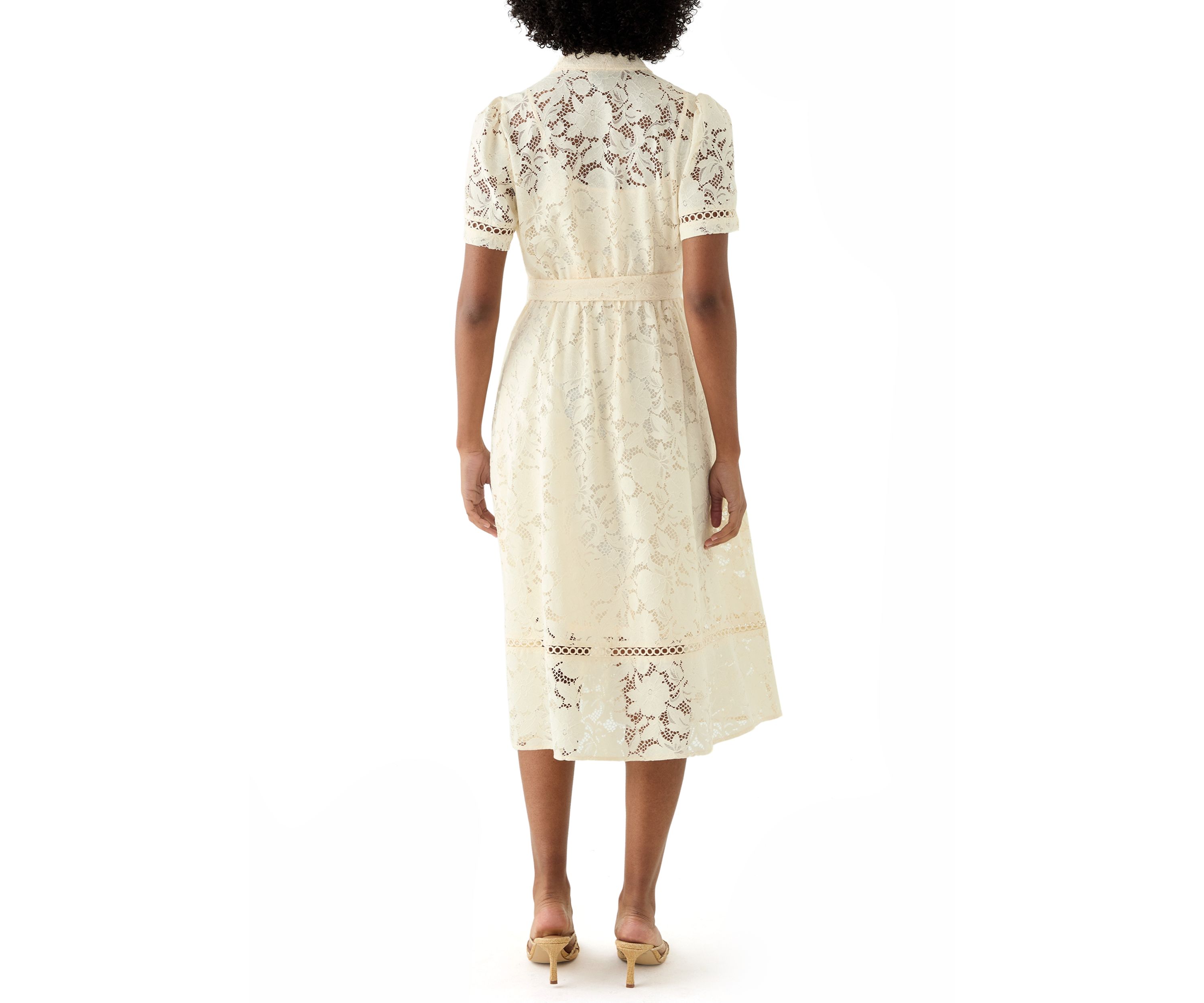 Petite Short Sleeve Lace Dress