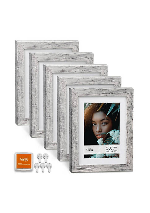 Cavepop SPF-5746F5-RG 4 x 6 in. Picture Frame