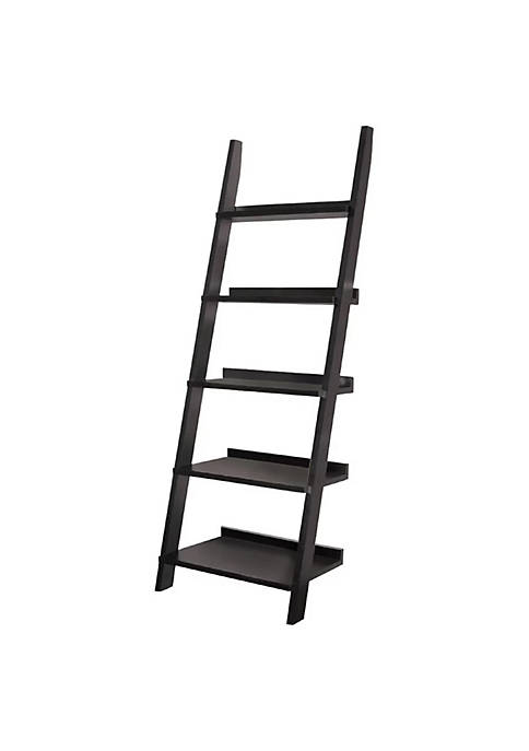 Duna Range Exhibiting Modern Ladder Bookcase With Five
