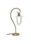 Modern Table Lamp with Curved Metal Base and Clear Glass Shade - Antique Brass