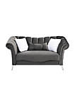 Modern Decorative Madrid 65" Dark Gray 2-Seater Velvet Sofa with 2-Throw Pillow