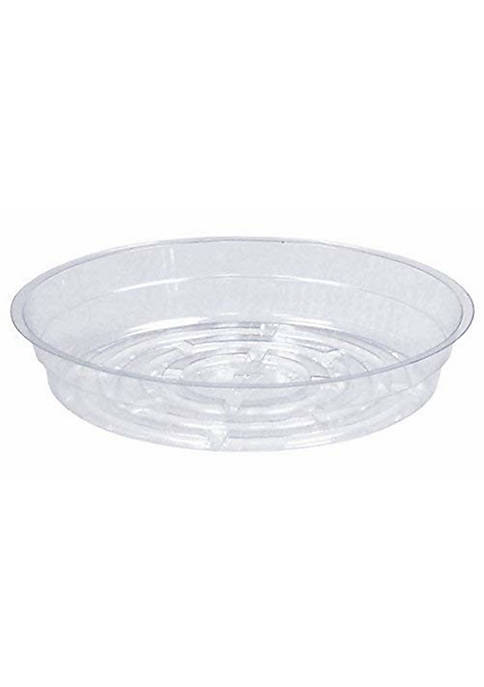 CWP Curtis Wagner (#CW700N) Round Clear Vinyl Plant