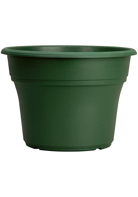 Panterra Plastic Planter/Flower Pot, Green, 8"
