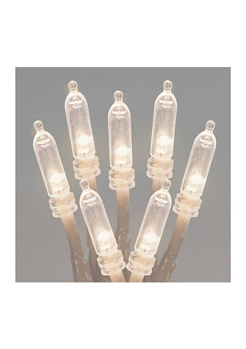 ProductWorks Mini Bulb LED Light String, Cool White,