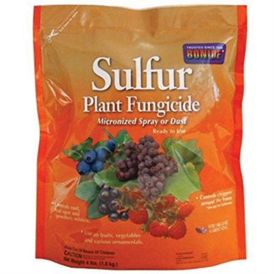 Bonide (Bnd1428) - Sulfur Plant Fungicide, Organically Controls Rust, Leaf Spot And Powdery Mildew (4 Lb.), Brown -  037321001423
