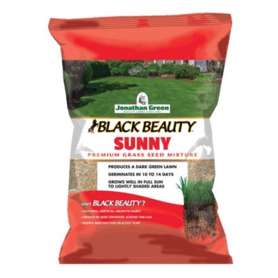 Jonathan Green (#10870) Black Beauty Sunny Premium Grass Seed Mixture, 25# Bag