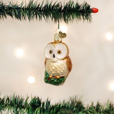 Old World Christmas Glass Blown Ornament, (#16094) Christmas Owl , 3