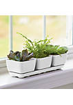 Novelty 10012 Herb & Succulent Trio Planter/Plastic Flower Pot, White, 12"
