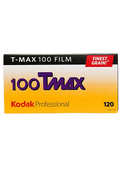 Kodak TMX 120 T-Max 100 Black and White