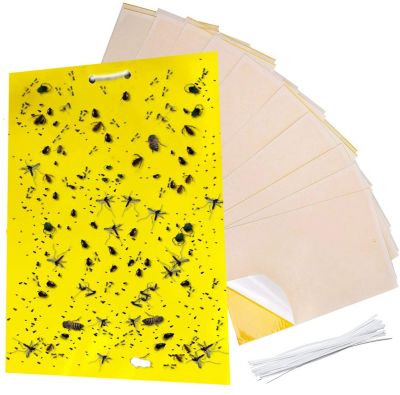 Lightsmax 6 X 8"" Yellow Sticky Traps For Flying Plant Insects Flies Gnats Whiteflies Aphids Pests - 20 Pks