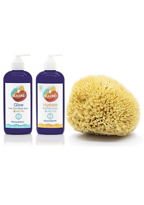 Sea Plant Body Wash & Body Lotion w/ Luxury 7.5" Sea Sponge - Sea Mist