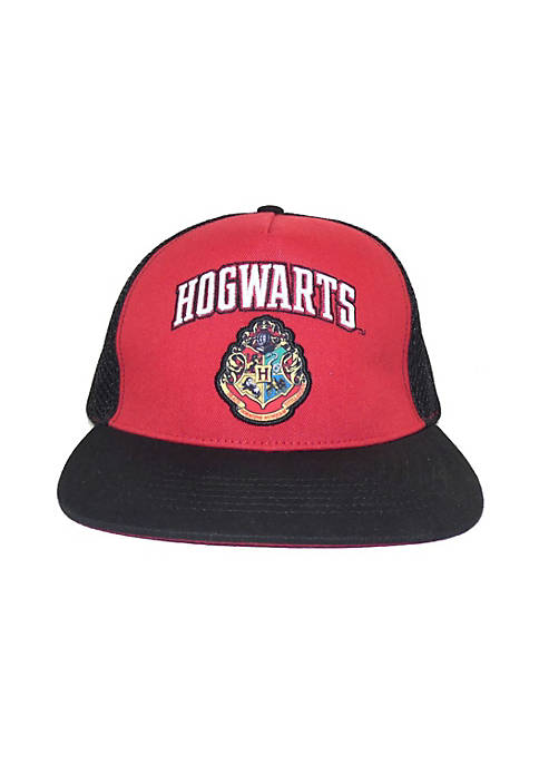 Harry Potter College Hogwarts Snapback Cap