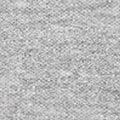 Sport Gray (RS)
