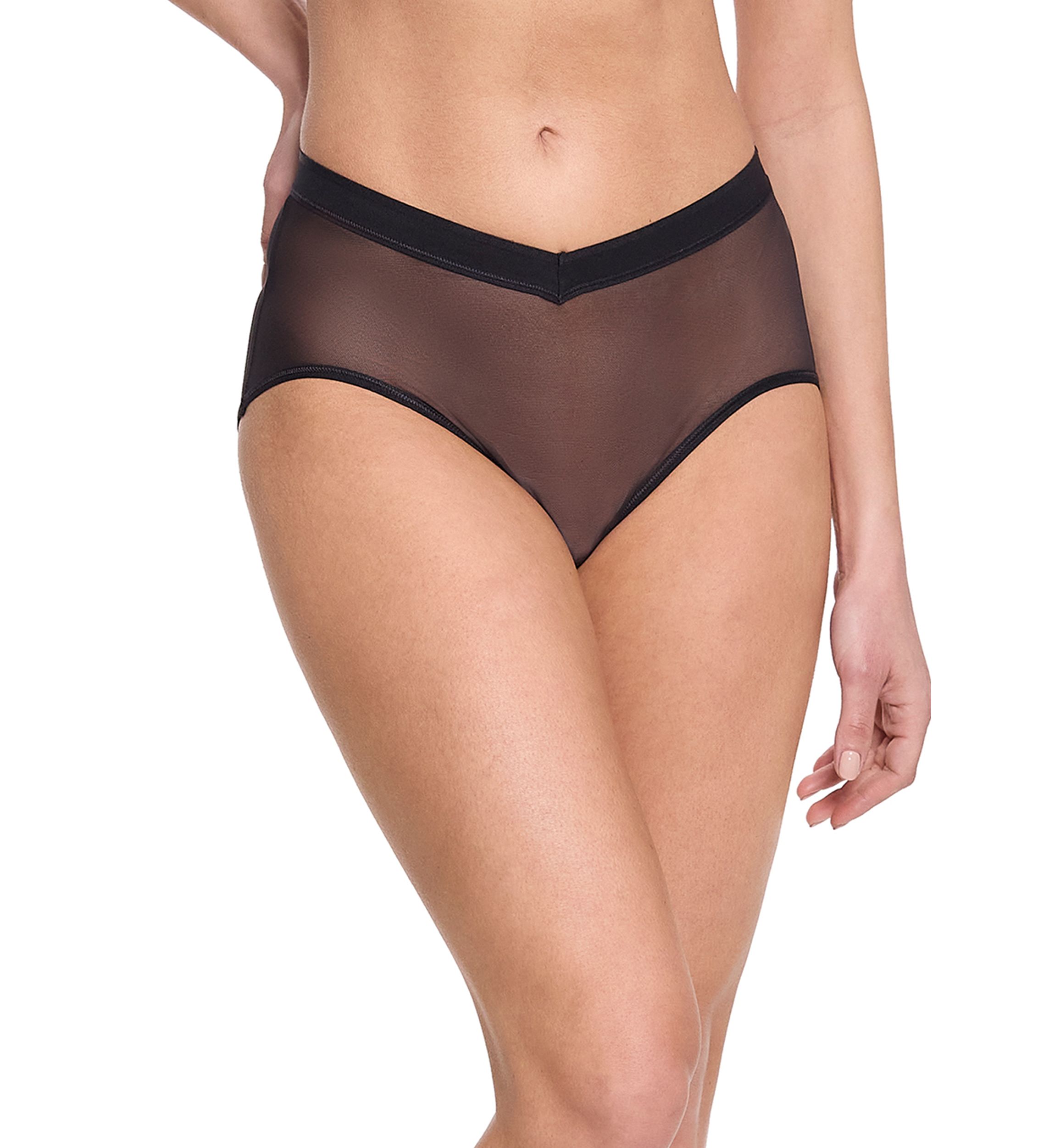 Mesh V-French Brief Panty