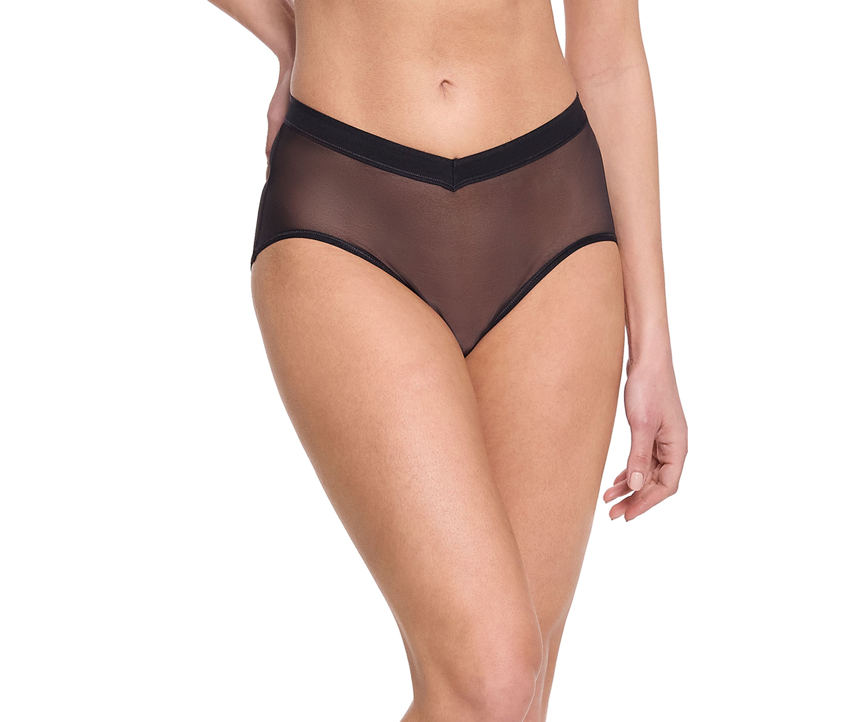 Mesh V-French Brief Panty